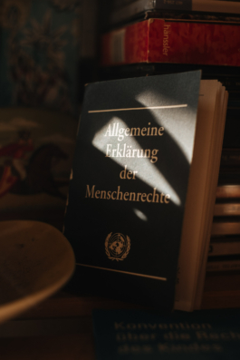 Allgemeine Erklärung der Menschenrechte Buch bei Rüdiger Schröder 
