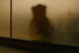 Reinickendorf Berlin Streetphotography Bär mit Schwanz Maximilian Gödecke Photography 