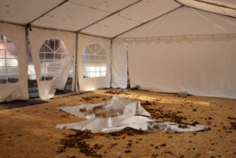 Reinickendorf Berlin Streetphotography Zelt Maximilian Gödecke Photography 